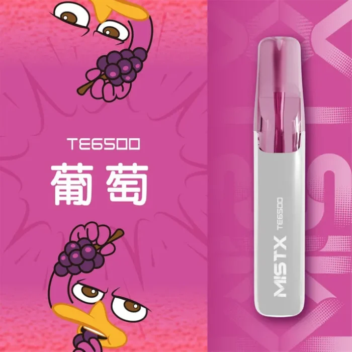 MISTX-TE6500-12_1800x-700×700 MISTX-TE6500-12_1800x-700×700
