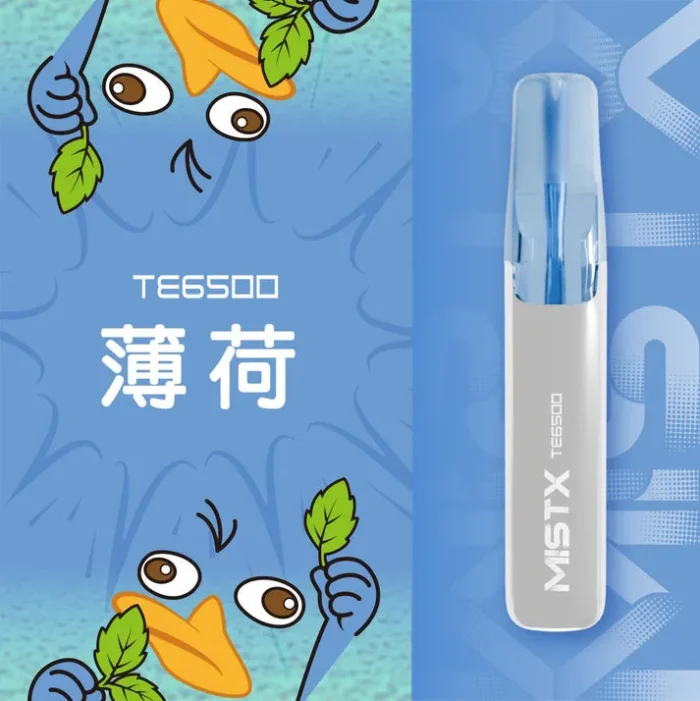 MISTX-TE6500-1_1800x-700×701 MISTX-TE6500-1_1800x-700×701